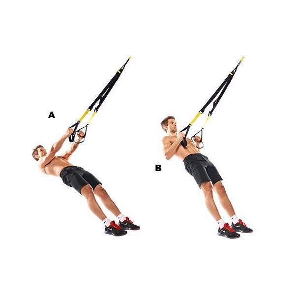Cintas de entrenamiento TRX ®