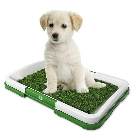 ORINAL EFECTIVO PARA MASCOTAS